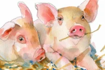 Đúng 7 ngày tới: 3 con giáp đến ngày đổi vận, tài lộc hồng phát