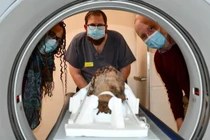 Dọn gác mái, phát hiện chiếc đầu người 2.000 năm vẫn nguyên vẹn