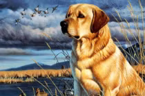  3 con giáp gặp hạn đi đường, coi chừng mất tiền hại thân