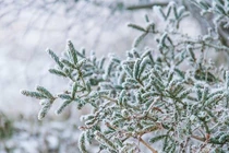 Bất chấp lạnh giá “săn tuyết", bác sĩ khuyến cáo coi chừng đột quỵ