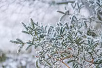 Bất chấp lạnh giá “săn tuyết", bác sĩ khuyến cáo coi chừng đột quỵ