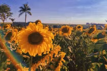 Lời khuyên dành cho các cung hoàng đạo để năm 2022 viên mãn