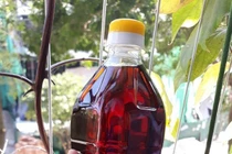 Ủ vại nước mắm 3 năm, rút nước cốt bán cho dân sành