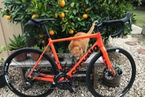 Cảm xúc của bạn ảnh hưởng thế nào bởi màu sắc đồ vật?