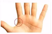 5 nét tướng tay của người có số phát tài, giàu có cả đời 