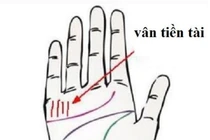 Lòng bàn tay có 1 trong 4 đường vân này thì số giàu có 