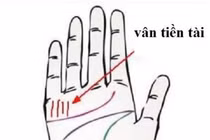 Lòng bàn tay có 1 trong 4 đường vân này thì số giàu có 