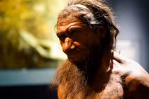 Đức: Lộ diện lò hắc ín 200.000 năm, người khác loài điều hành