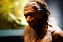 Đức: Lộ diện lò hắc ín 200.000 năm, người khác loài điều hành