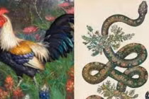 Quý Mão 2023: 4 con giáp chạy trời không khỏi nắng làm gì cũng đen