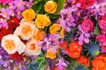 3 con giáp nhận nhiều tin vui, lộc lá tràn đầy