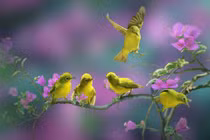 4 con giáp tạm biệt cuộc sống độc thân, nghèo khó trong năm 2022