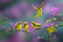 4 con giáp tạm biệt cuộc sống độc thân, nghèo khó trong năm 2022