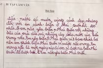 Làm văn tả địa danh yêu thích, học trò khiến netizen hoang mang 