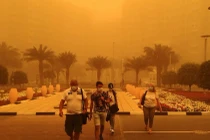 Những bức ảnh siêu thực khiến các nhà khoa học lo ngại