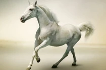 Nửa cuối tháng 8/2022: 3 con giáp vượng quý nhân, làm gì cũng thuận 