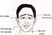 Người sở hữu 2 thứ mỏng, 2 vị trí nhỏ đen cả tình lẫn tiền