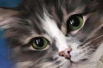 Bốn tuần tới, 3 con giáp chuẩn bị tinh thần giàu sang, hầu bao căng đét 