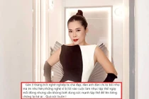 Mỹ Lệ bàn về việc nghệ sĩ không bảo vệ nhau