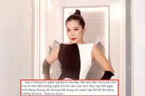 Mỹ Lệ bàn về việc nghệ sĩ không bảo vệ nhau