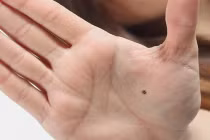 Bỏ ra 2 giây nhìn tướng bàn tay, biết ngay ai sướng ai khổ