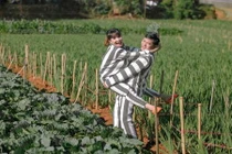 Dân mạng “tá hỏa” với bộ ảnh cưới áo tù của cặp đôi Sài thành