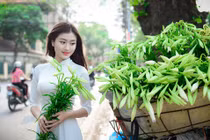 Tháng Tư về, thiếu nữ Hà thành đẹp tinh khôi bên hoa loa kèn