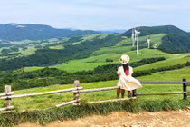 Thăm trại cừu đẹp như mơ nơi Xuân Trường lộ người tình giấu mặt