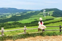 Thăm trại cừu đẹp như mơ nơi Xuân Trường lộ người tình giấu mặt