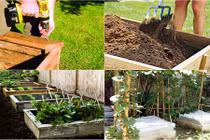 Cuối tuần tranh thủ rủ nhau “đóng giường” trồng rau 