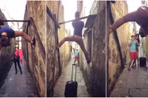 Chết cười với tư thế chụp “bá đạo” của nhiếp ảnh gia