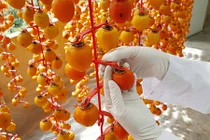 "Hồng treo gió" có gì khiến dân mạng lùng sục mua về ăn Tết?