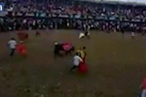 Bò chiến kiệt sức, gục ngã trên đường phố Tây Ban Nha 