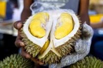 “Ngả mũ” cách quảng bá trái cây “vua” sầu riêng Malaysia