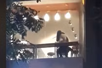 Ân ái tại quán trà sữa, chiêu trò để PR thương hiệu?