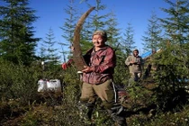 Nghề khai thác ngà voi ma mút trái phép ở Nga