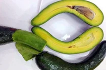 Ảnh: Thị trường săn lùng bơ sáp thượng hạng giá cao 