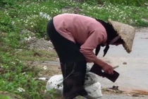 Dân mạng tranh cãi về clip thử lòng bà cụ nhặt rác