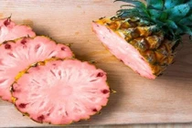 Dứa hồng từ ngoài vào trong khiến bà nội trợ mê mẩn