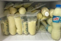 Nặn sữa non trước sinh, hại cả con lẫn mẹ