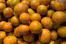 Đặc sản Hà Nội ngày cuối mùa, khách tranh mua ăn dè đến sang năm