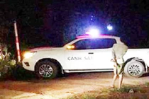 Cặp đôi tử vong trong nhà nghỉ với nhiều vết đâm