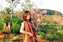 Nữ phó GĐ sở cãi bay vụ bẻ hoa, "tố" báo chí quy chụp