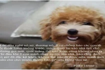 Chú chó cứu 6 người cháy chung cư Carina giờ ra sao?