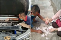 Âm thầm giấu quỹ đen, ông chồng nhận cái kết cực đắng