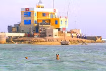 Dân mạng xúc động trước bài thơ về chú chó Trường Sa