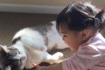 Tiết lộ cực phấn kích với người hay nói chuyện với chó, mèo