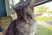 Ảnh độc lạ cho bạn góc nhìn hoàn toàn khác về thế giới