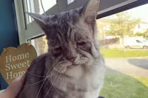 Ảnh độc lạ cho bạn góc nhìn hoàn toàn khác về thế giới