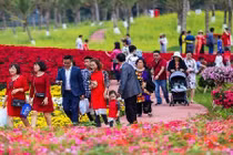 Lễ hội hoa xuân Ecopark: Không hợp gia đình trẻ nhỏ, giá cả đắt “chát“